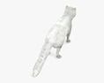 Arctic fox Low Poly Rigged 3D模型