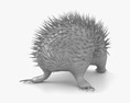 Echidna Low Poly Rigged Animated 3Dモデル