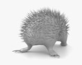 Echidna Low Poly Rigged Animated Modelo 3D