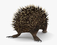 Echidna Low Poly Rigged 3D 모델 
