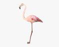 Flamingo Low Poly Rigged Animated 3D модель