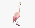 Flamingo Low Poly Rigged Animated 3d model