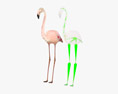 Flamingo Low Poly Rigged Modèle 3d