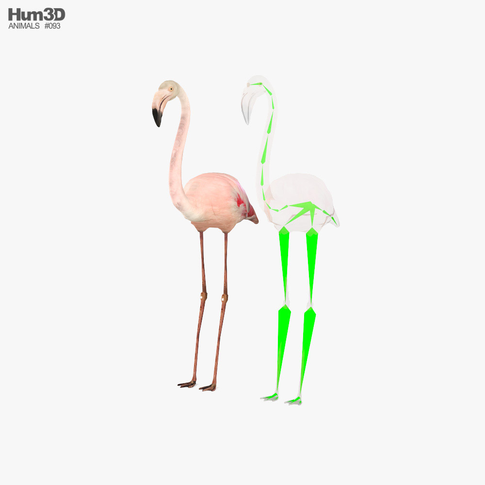 Flamingo Low Poly Rigged 3D model