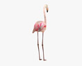 Flamingo Low Poly Rigged 3D модель