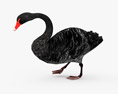 Black Swan Low Poly Rigged Animated Modello 3D