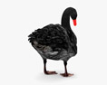 Black Swan Low Poly Rigged Animated 3D 모델 