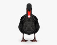Black Swan Low Poly Rigged Animated Modello 3D