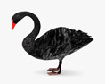 Black Swan Low Poly Rigged Animated 3D-Modell