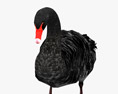 Black Swan Low Poly Rigged Animated 3d model