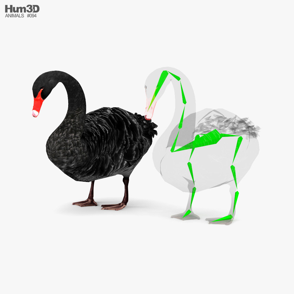 Black Swan Low Poly Rigged 3D model