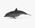 Common Bottlenose Dolphin Low Poly Rigged Animated Modèle 3d