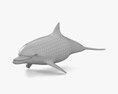 Common Bottlenose Dolphin Low Poly Rigged Animated 3d model