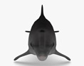 Common Bottlenose Dolphin Low Poly Rigged Animated Modelo 3d