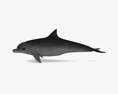 Common Bottlenose Dolphin Low Poly Rigged Animated 3d model