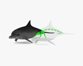 Common Bottlenose Dolphin Low Poly Rigged 3D-Modell