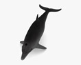 Common Bottlenose Dolphin Low Poly Rigged 3Dモデル