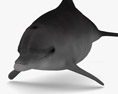 Common Bottlenose Dolphin Low Poly Rigged Modèle 3d
