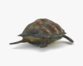 Hawksbill sea turtle Low Poly Rigged Animated 3d model