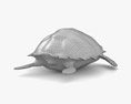 Hawksbill sea turtle Low Poly Rigged Animated 3D-Modell