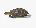 Hawksbill sea turtle Low Poly Rigged Animated Modelo 3D