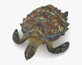 Hawksbill sea turtle Low Poly Rigged Animated Modèle 3d