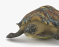 Hawksbill sea turtle Low Poly Rigged Animated Modello 3D