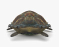 Hawksbill sea turtle Low Poly Rigged Animated 3D модель