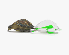 Hawksbill sea turtle Low Poly Rigged 3D 모델 