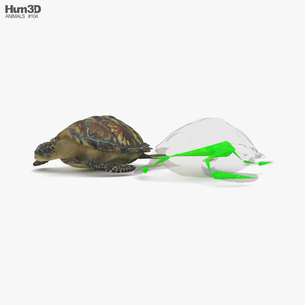 Hawksbill sea turtle Low Poly Rigged 3D model