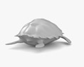 Hawksbill sea turtle Low Poly Rigged 3D-Modell