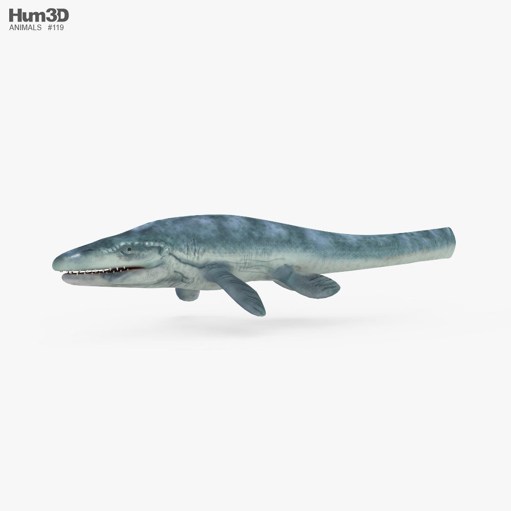 Mosasaurus Low Poly Rigged Animated 3D-Modell