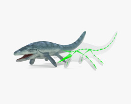 Mosasaurus Low Poly Rigged Modelo 3d