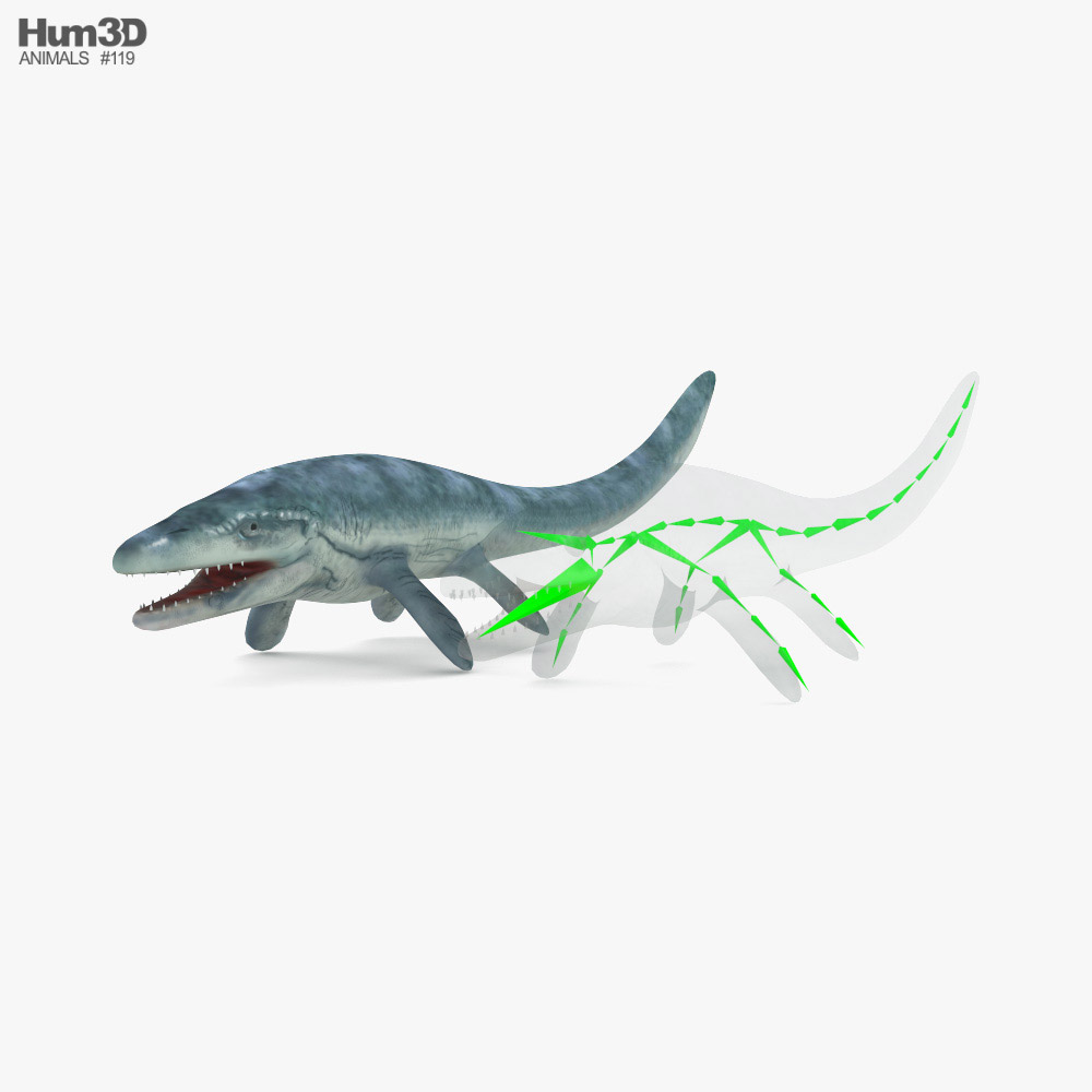 Mosasaurus Low Poly Rigged Modèle 3D