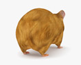 Hamster Low Poly Rigged Modèle 3d