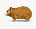 Hamster Low Poly Rigged Modello 3D