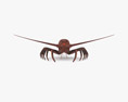 Achelata Low Poly Rigged Animated 3D 모델 