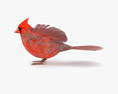 Cardinal Low Poly Rigged 3D 모델 