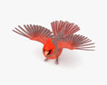 Cardinal Low Poly Rigged 3D модель
