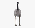 Emu Low Poly Rigged Animated 3D модель
