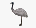 Emu Low Poly Rigged Animated Modelo 3D