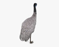 Emu Low Poly Rigged Modèle 3d