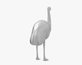Emu Low Poly Rigged 3D模型
