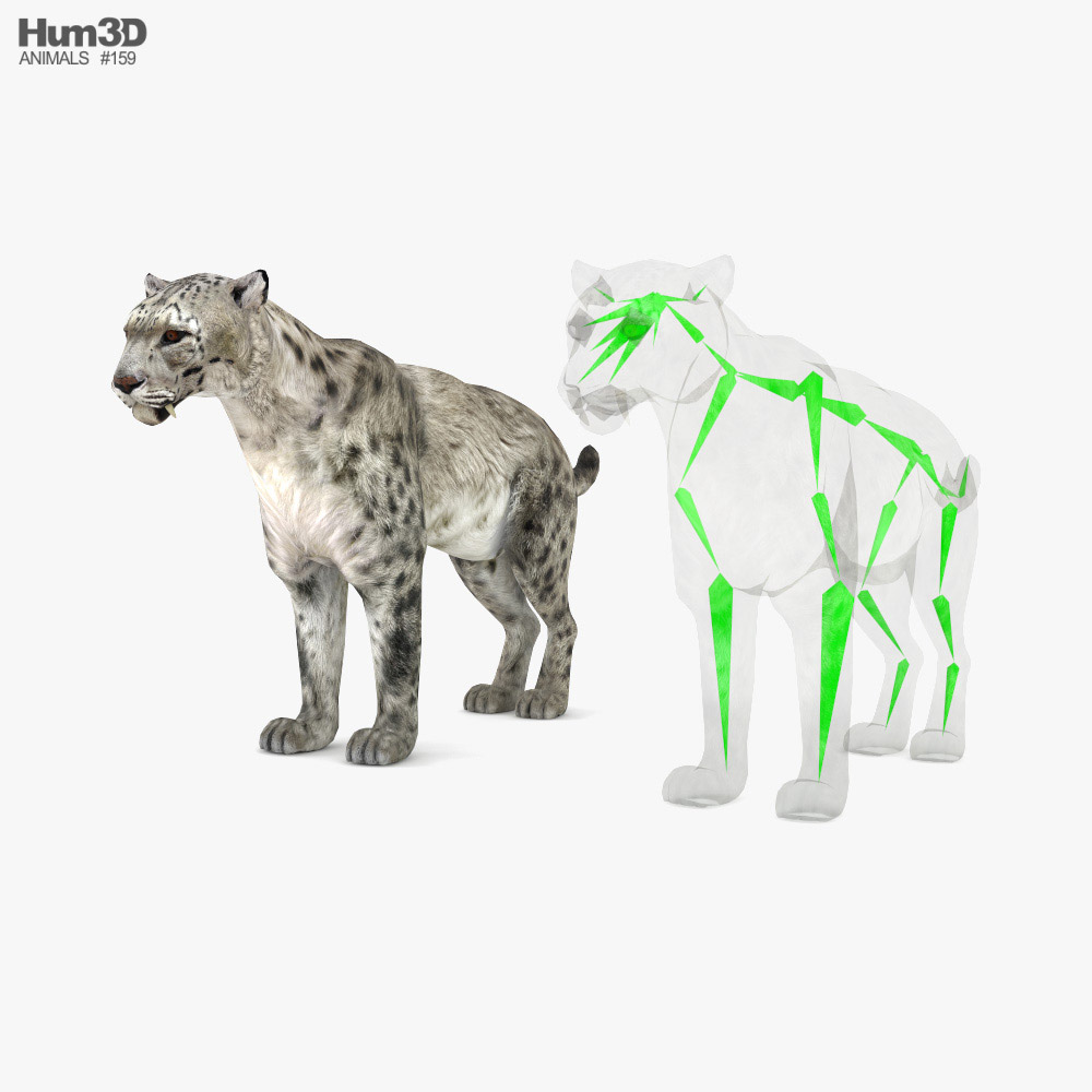 Homotherium Low Poly Rigged 3d model