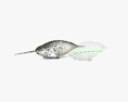 Narwhal Low Poly Rigged 3D 모델 