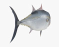 Atlantic Bluefin Tuna Low Poly Rigged Animated 3D模型
