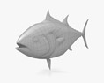Atlantic Bluefin Tuna Low Poly Rigged Animated 3D-Modell
