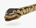 Common Python Low Poly Rigged Modello 3D