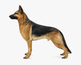 German Shepherd Low Poly Rigged 3D-Modell