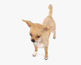 Chihuahua Low Poly Rigged Animated 3D модель